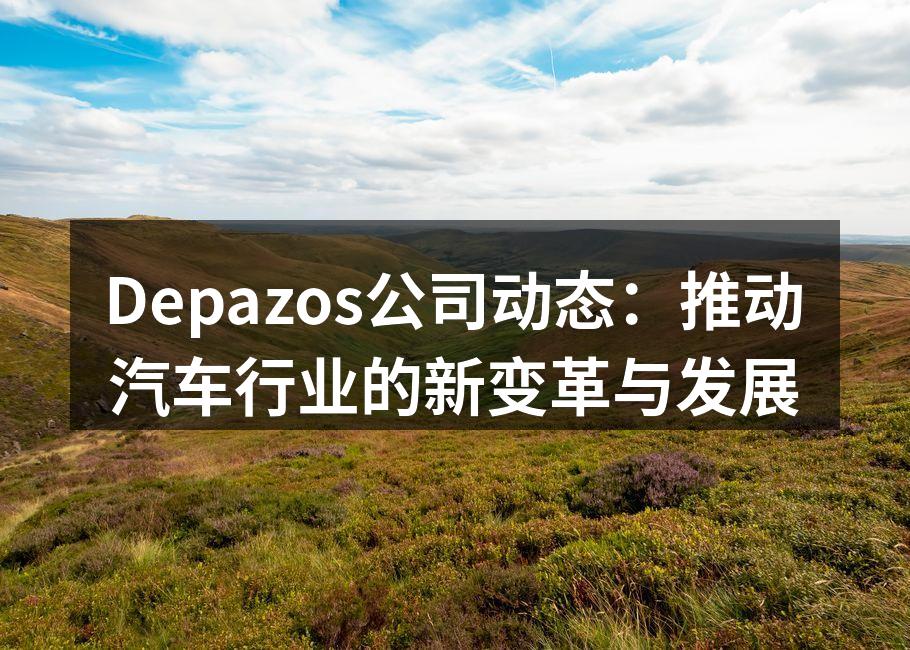 Depazos智能物流系统的操作界面